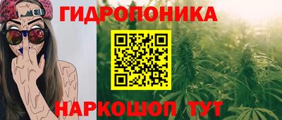 ПСИЛОЦИБИНОВЫЕ ГРИБЫ Бийск