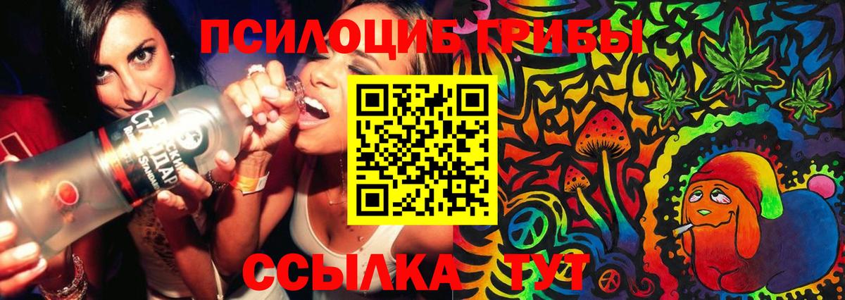 Галлюциногенные грибы прущие грибы Камень-на-Оби